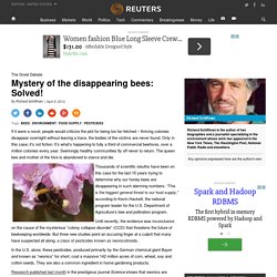 Mystery of the disappearing bees: Solved!