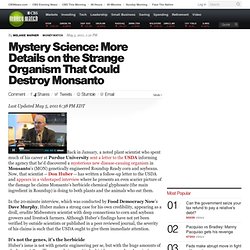 Mystery Science: More Details on the Strange Organism That Could Destroy Monsanto