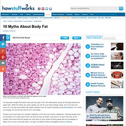 10 Myths About Body Fat - HowStuffWorks