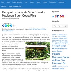 Refugio Nacional de Vida Silvestre Hacienda Barú, Costa Rica - CRinfolink.com