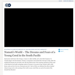 Namati’s World (corail Pacifique sud Vanuatu)