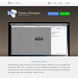 Name Mangler - Batch Filename Editor