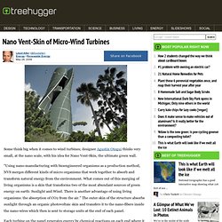 Nano Vent-Skin of Micro-Wind Turbines