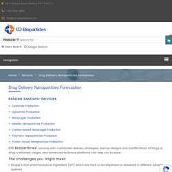 Drug Delivery Nanoparticles Formulation