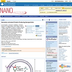 Remotely Activated Protein-Producing Nanoparticles - Nano Letters