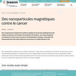 Des nanoparticules magnétiques contre le cancer