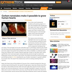 Carbon nanotubes make it possible to grow human hearts