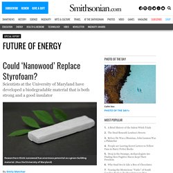 Could 'Nanowood' Replace Styrofoam?