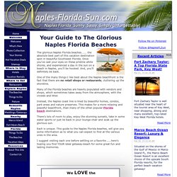 Naples Florida Beaches: The Heart and Soul of Naples