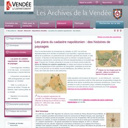 Les plans du cadastre napoléonien : des histoires de paysages / Expositions virtuelles / Découvrir / Archives de la Vendée