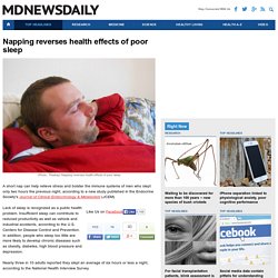 Napping reverses health effects of poor sleep : Top Headlines : MD News Daily