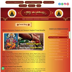 Narayan Nagbali Pooja Benefits