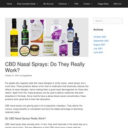 CBD Nasal Sprays: Do They Really Work? -