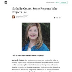 Nathalie Gosset-Some Reasons Why Projects Fail - Nathalie Gosset - Medium