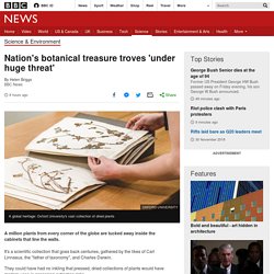 Nation's botanical treasure troves 'under huge threat'