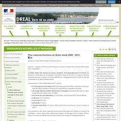 Plan national d’actions du Butor étoilé 2008 - 2012