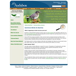 National Audubon Society - Birds in Decline