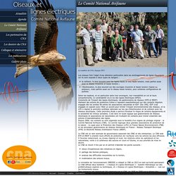Le Comité National Avifaune - CNA - Oiseaux et lignes électriques
