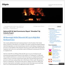National BP Oil Spill Commission Report Shredded By Industry Expert