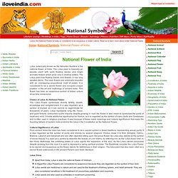 National Flower Of India, Indian National Flower, Indian Lotus, Indian National Symbols, National Symbols Of India.