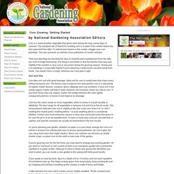 Corn Growing: Getting Started (National Gardening Association)