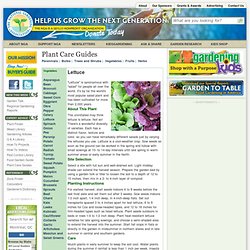 Plant Care Guides