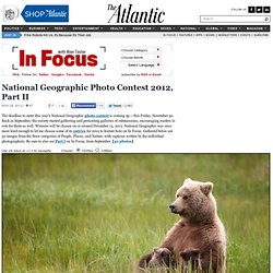 National Geographic Photo Contest 2012, Part II