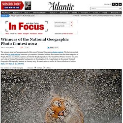 Winners of the National Geographic Photo Contest 2012 - In Focus