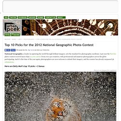 Top 10 Picks for the 2012 National Geographic Photo Contest