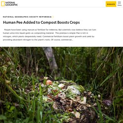 Human Pee Added to Compost Boosts Crops – National Geographic Society Newsroom