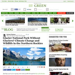 Glacier National Park Without Glaciers? Climate Change and Wildlife in the Northern Rockies 