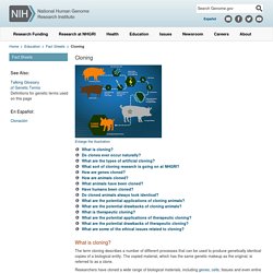 Cloning Fact Sheet - National Human Genome Research Institute (NHGRI)
