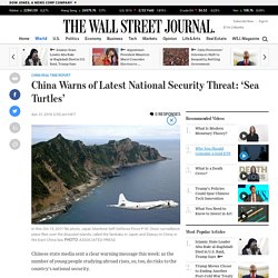 China Warns of Latest National Security Threat: ‘Sea Turtles’ - China Real Time Report
