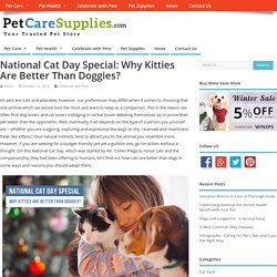 National Cat Day Special: Why Kitties Are Better Than Doggies?