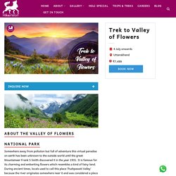 Trek To Valley Of Flowers National Park, Uttarakhand