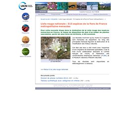 Liste rouge nationale : 512 espèces de la flore de France métropolitaine menacées