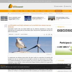 La LPO publie une étude nationale sur la mortalité des oiseaux due aux éoliennes