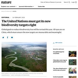 The United Nations must get its new biodiversity targets right
