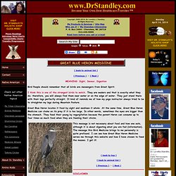 Native American Animal Medicine - (Great Blue Heron Medicine)