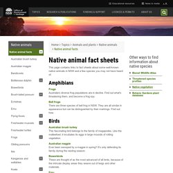 Native animal fact sheets