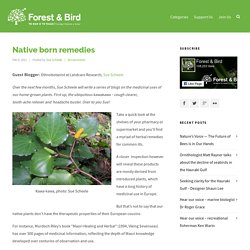 Native born remedies – Forest & Bird