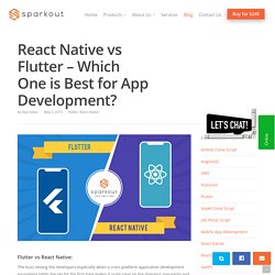 React Native vs Flutter - Which One is Best for App Development?