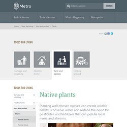 Native plants