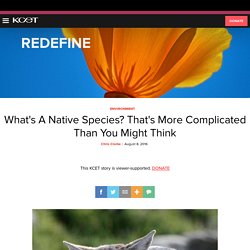 What's A Native Species? That's More Complicated Than You Might Think