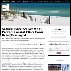 Natural Barriers Are What Prevent Coastal Cities From Being Destroyed