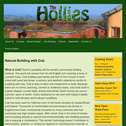 Natural Building with Cob