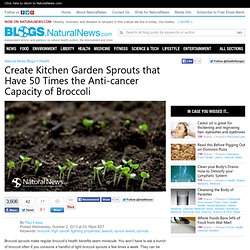 Natural News Blogs Create Kitchen Garden Sprouts that Have 50 Times the Anti-cancer Capacity of Broccoli