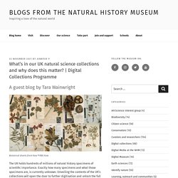 Digital Collections Programme – Blogs from the Natural History Museum
