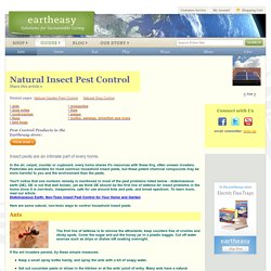 Natural Insect Pest Control: Safe, Non-Toxic Methods & Solutions