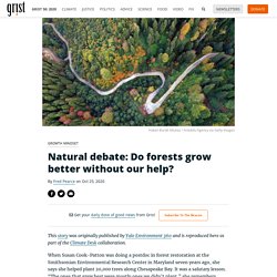 25 oct. 2020 Natural debate: Do forests grow better without our help ?